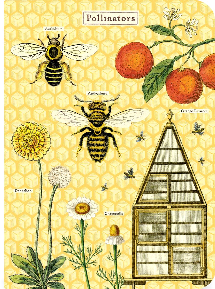 Bees & Honeys Mini Journals - Image 3