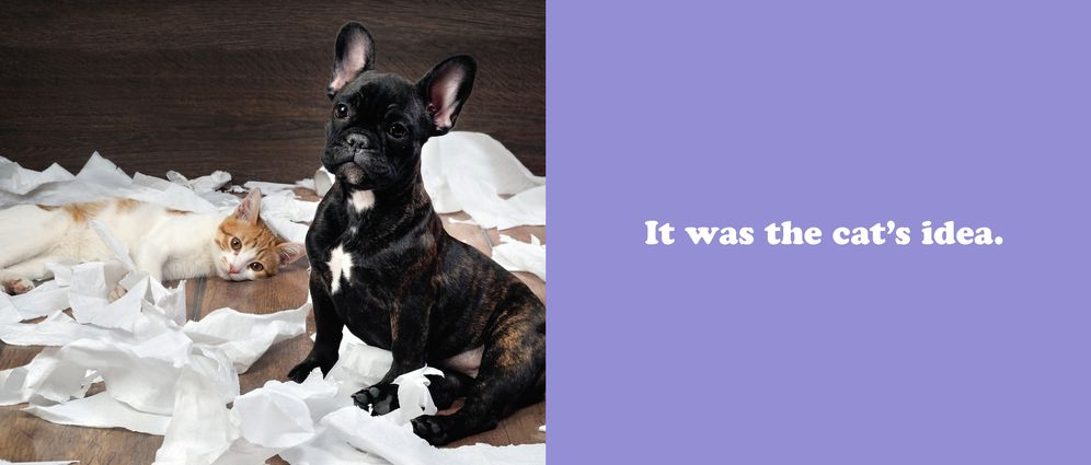 The Secret Thoughts of Dogs - Image 5