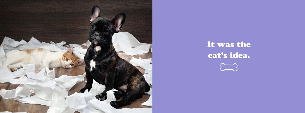 The Secret Thoughts of Dogs - Image 8