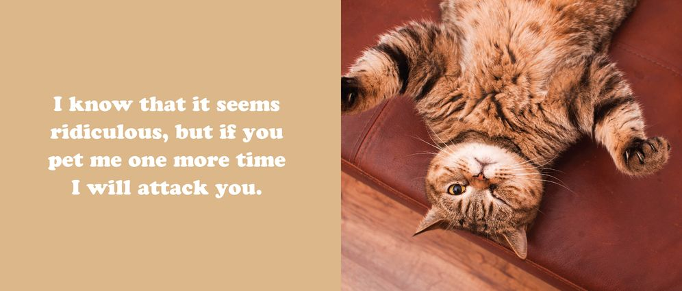 The Secret Thoughts of Cats - Image 6