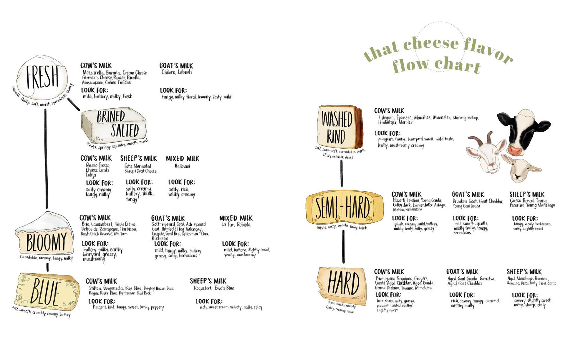 That Cheese Plate Wants to Party: Festive Boards. Spreads. and Recipes with the Cheese By Numbers Method - Image 8