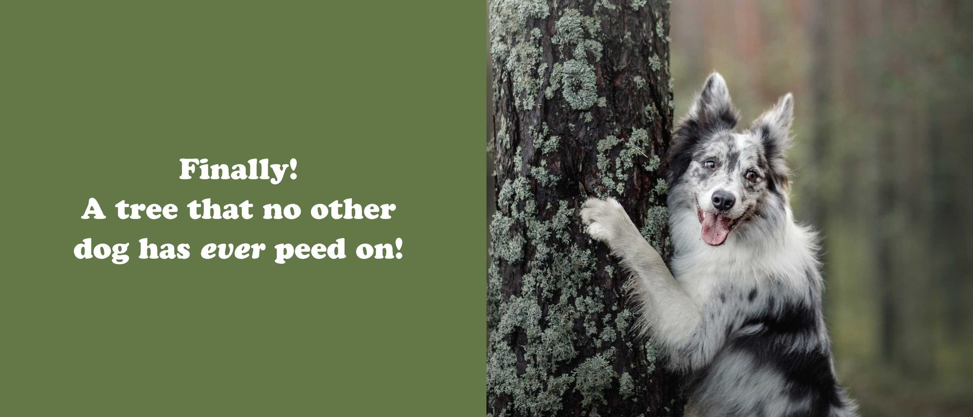 The Secret Thoughts of Dogs - Image 13