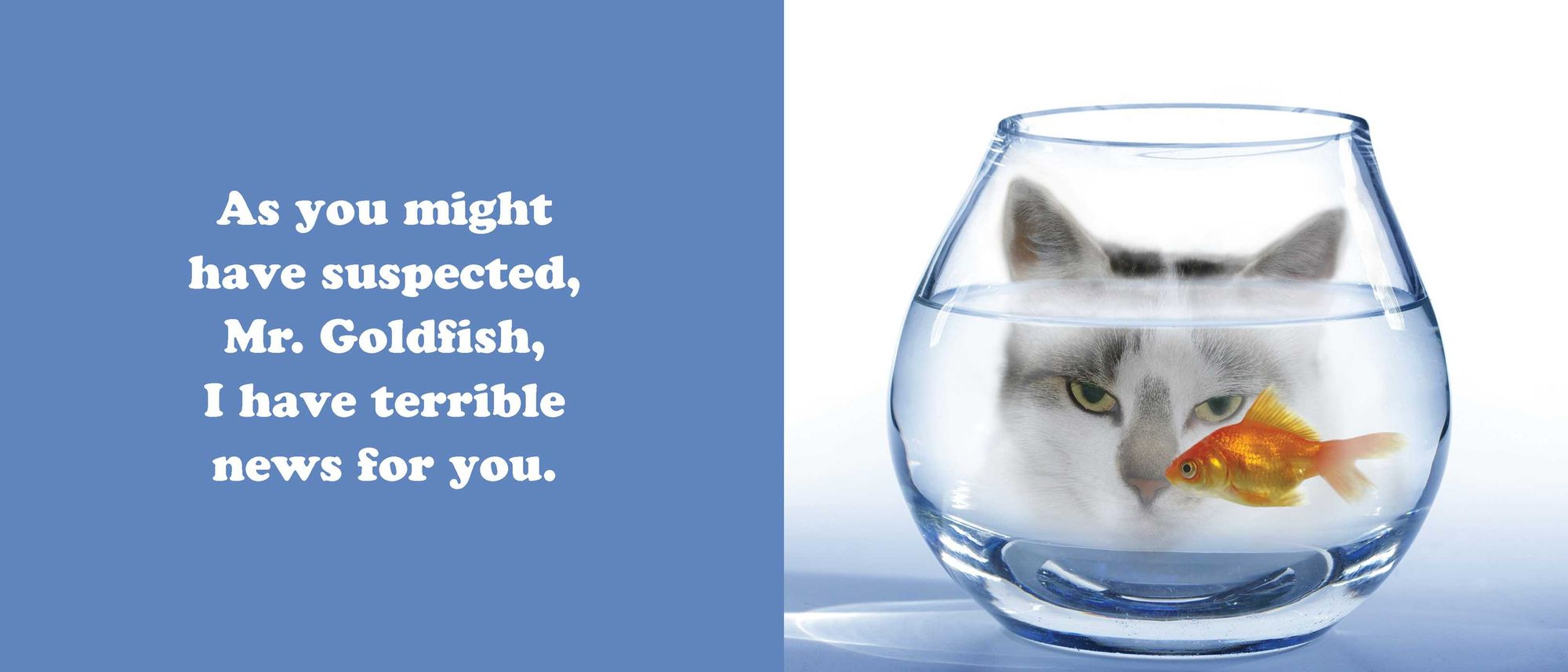 The Secret Thoughts of Cats - Image 15