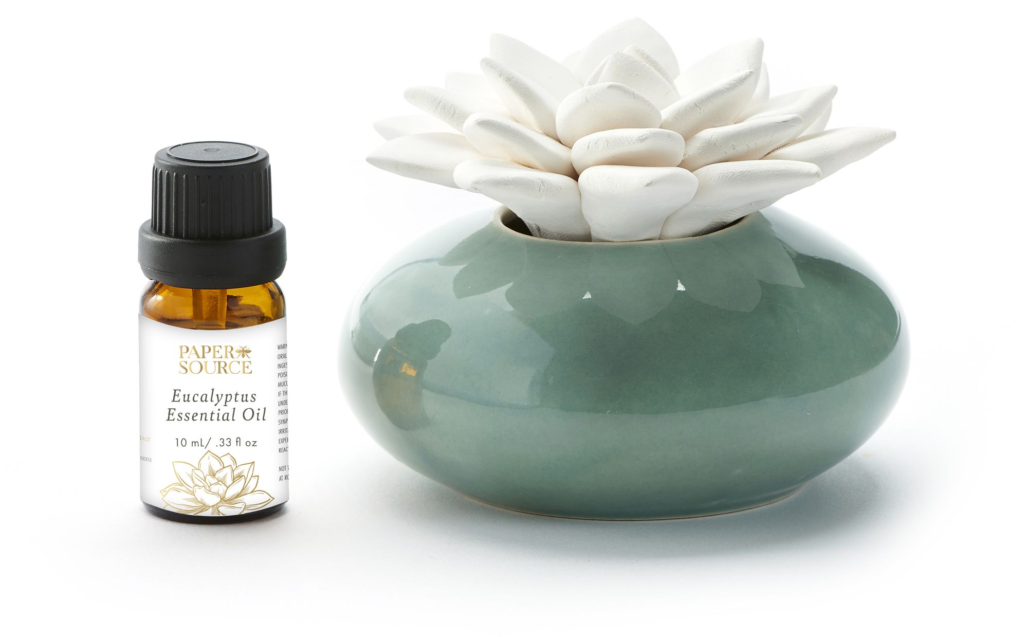 Ceramic Succulent Diffuser - Image 2