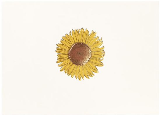 Correspondence Boxed Notecards Gold Sunflower - Image 3