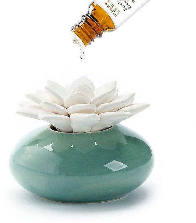 Ceramic Succulent Diffuser - Image 3