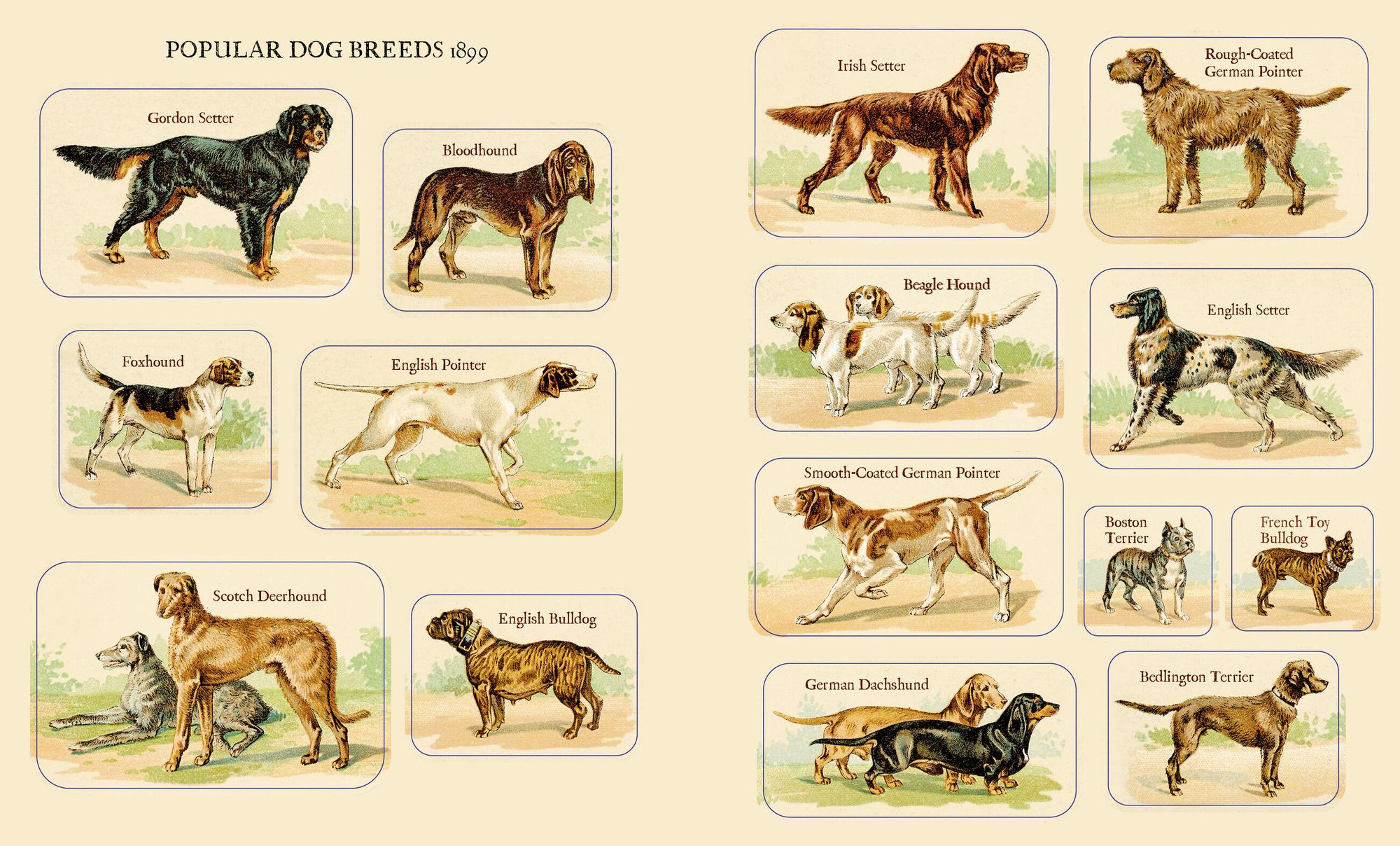 Cynthia Hart's Victoriana Dogs: The Sticker Book: 340 Captivating Stickers - Image 3