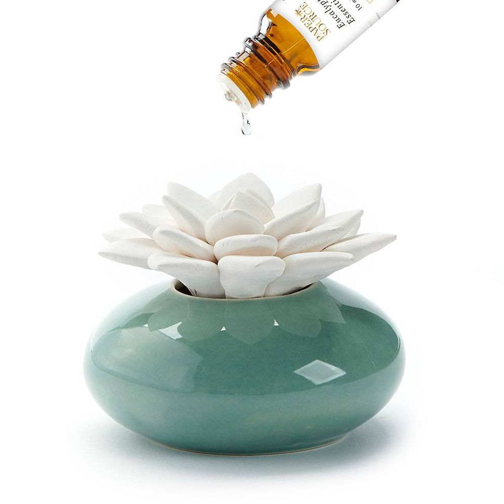 Ceramic Succulent Diffuser - Image 4