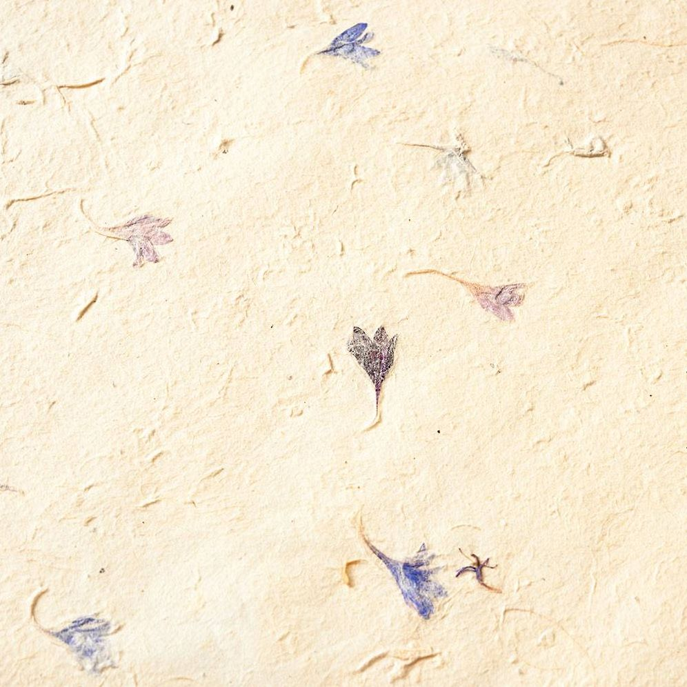 Pressed Blue Petal Handmade Paper - Image 3
