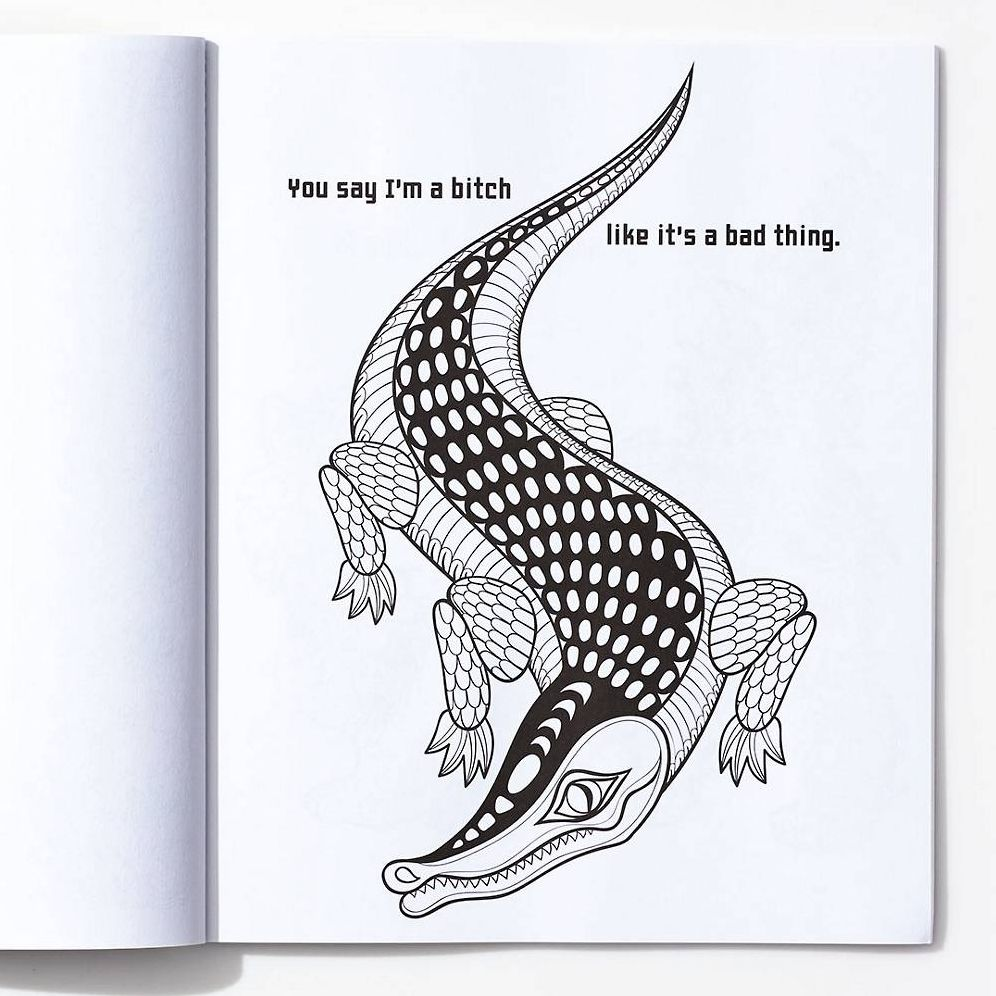 Chill the F*ck Out: A Swear Word Coloring Book - Image 4