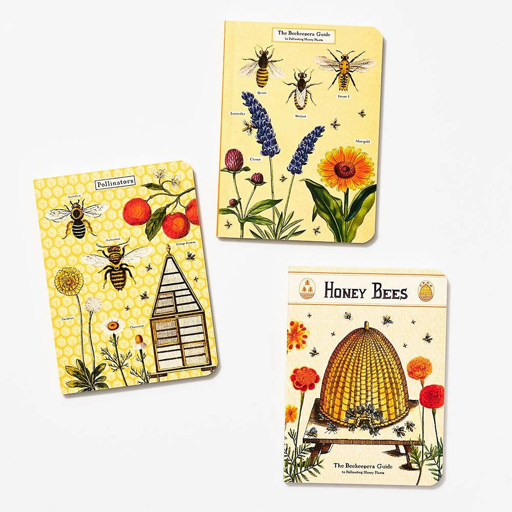 Bees & Honeys Mini Journals - Image 5