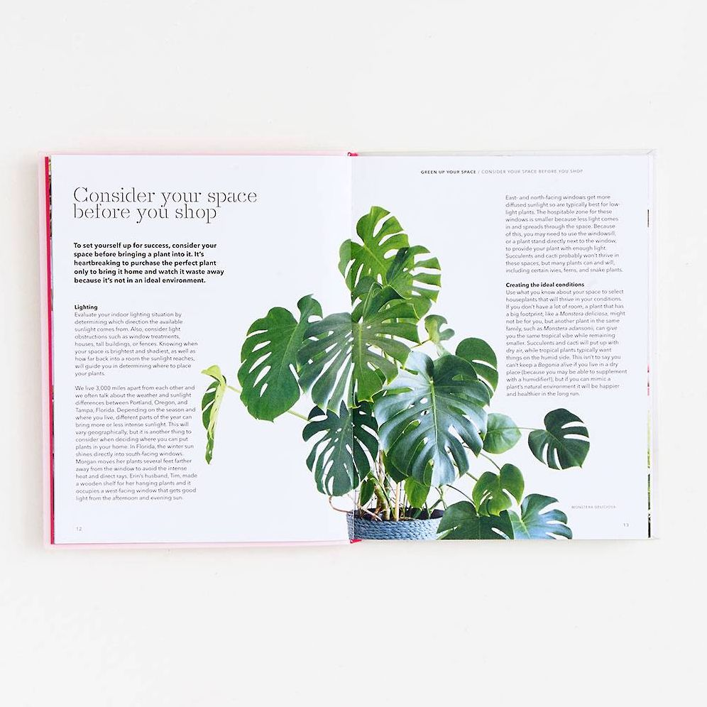 How to Raise a Plant: and Make It Love You Back - Image 3