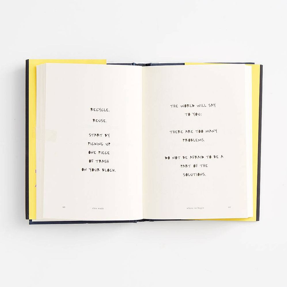 Where to Begin: A Small Book About Your Power to Create Big Change in Our Crazy World - Image 11