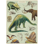 Dinosaurs Flat Wrap