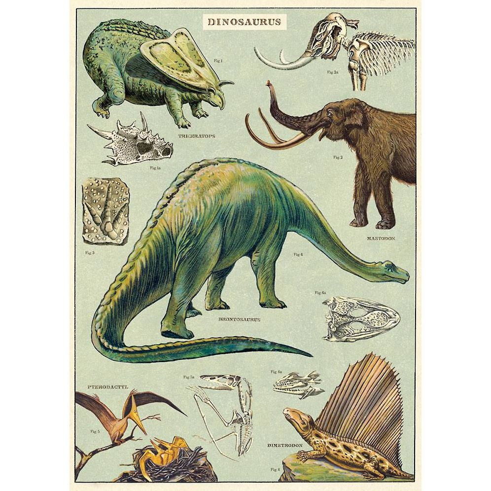 Dinosaurs Flat Wrap