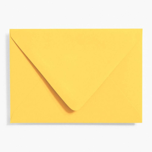 Curry 4 Bar Envelopes