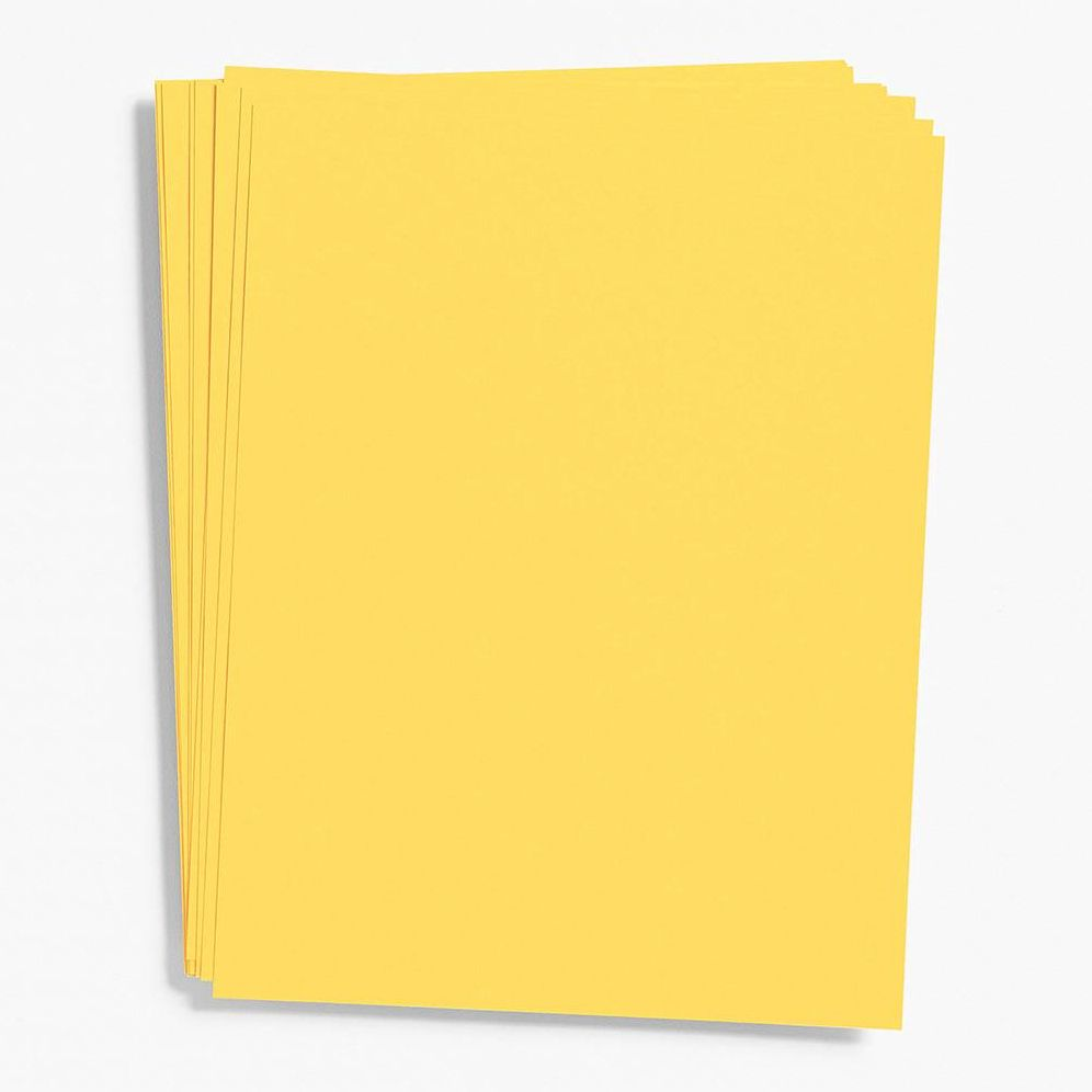 Curry Paper 8.5 x 11