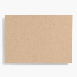 Paper Bag A7 Note Cards
