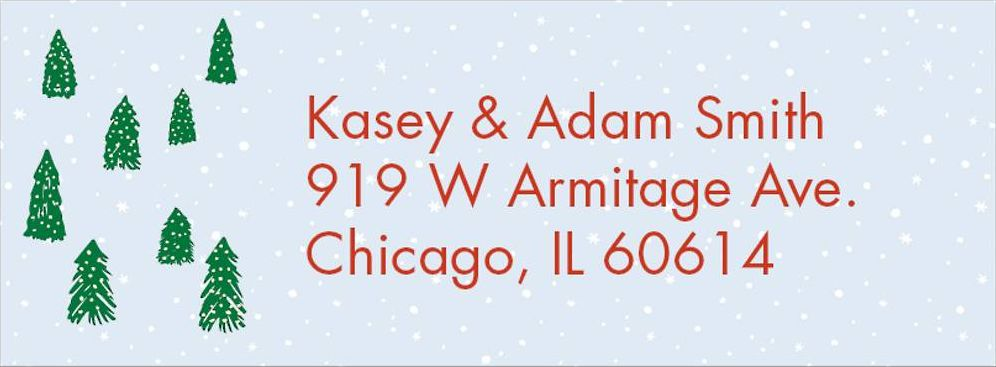 Skate Pond Holiday Return Address Label