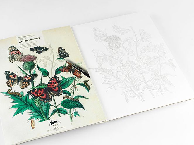 Natural History - Artists' Colouring Book - Image 2