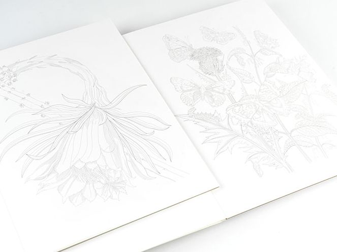 Natural History - Artists' Colouring Book - Image 4