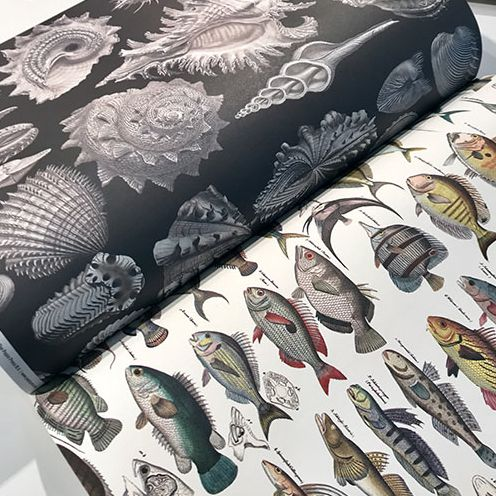Marine - Gift & Creative Paper Book - Image 5
