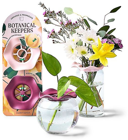 Botanical Keepers - Image 2