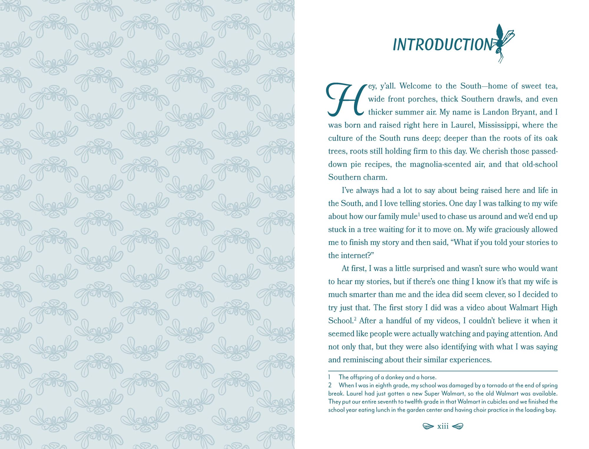 Bless Your Heart: A Field Guide to All Things Southern - Image 4