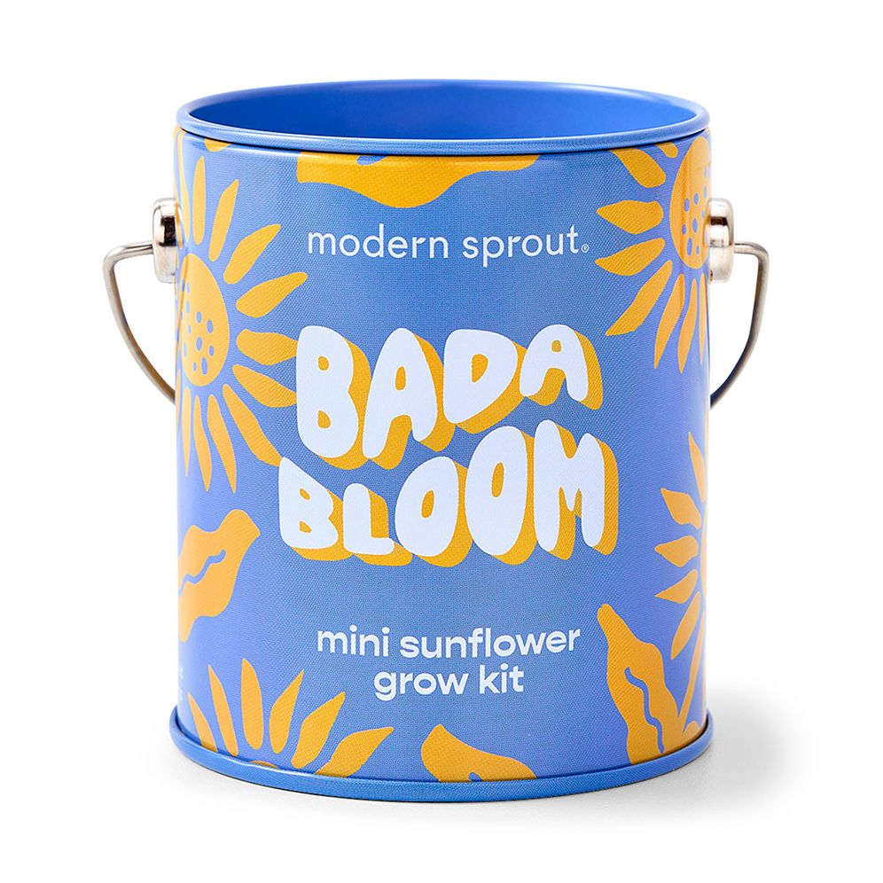 Complimentary Color Grow Kit - Sunflower - Image 2