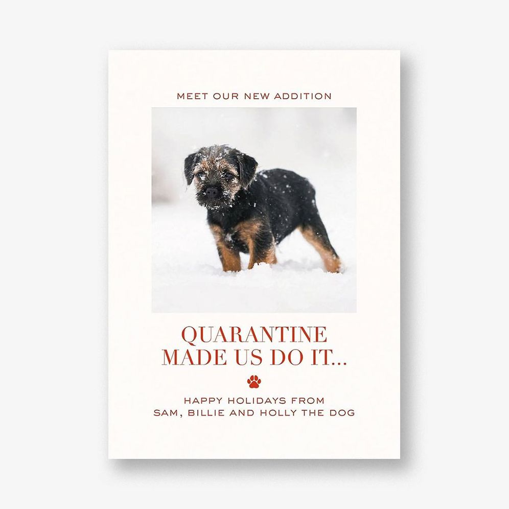 Quarantine Made Us Do It Photo Card