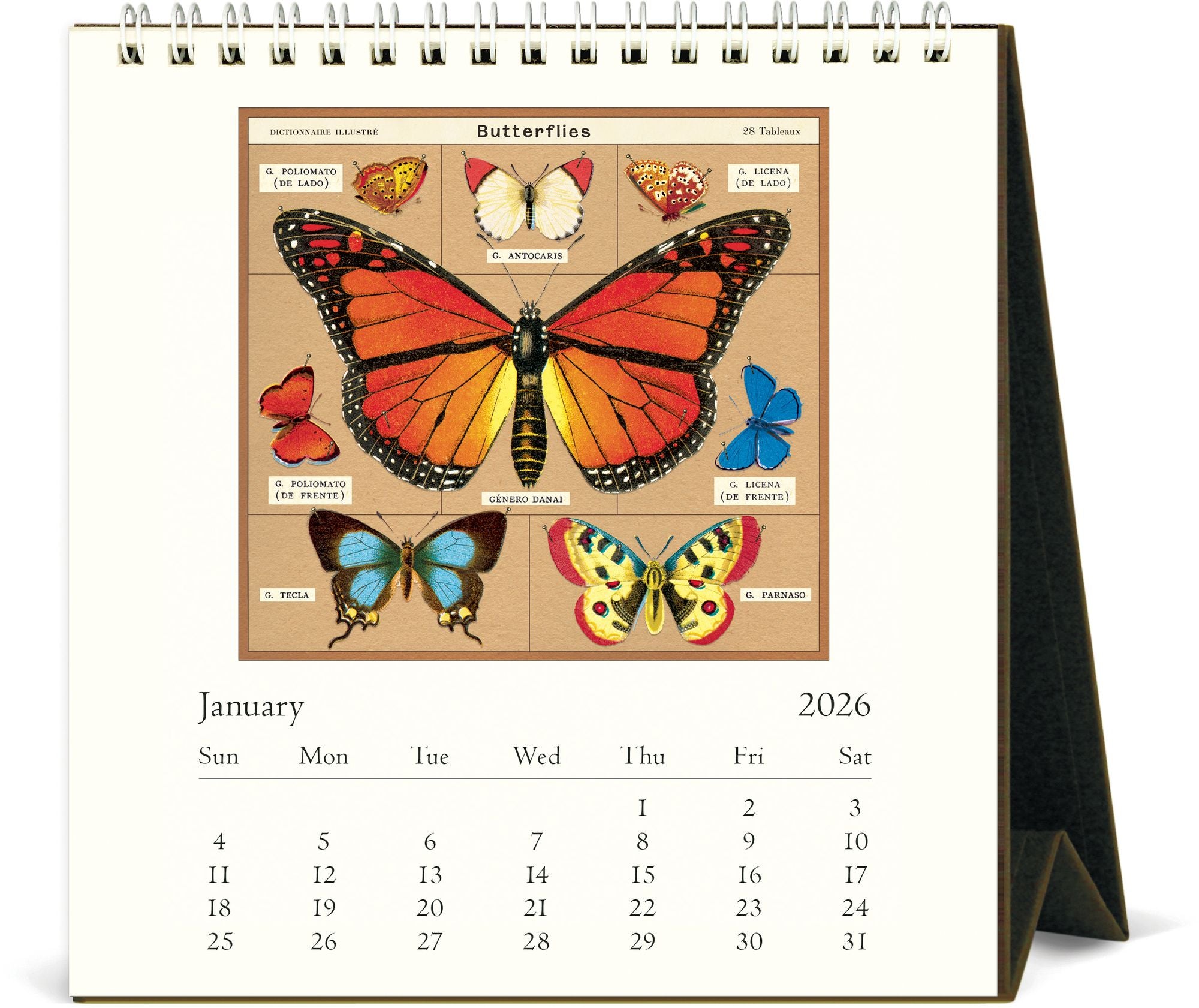 2026 Cavallini Butterflies Desk Calendar - Image 2