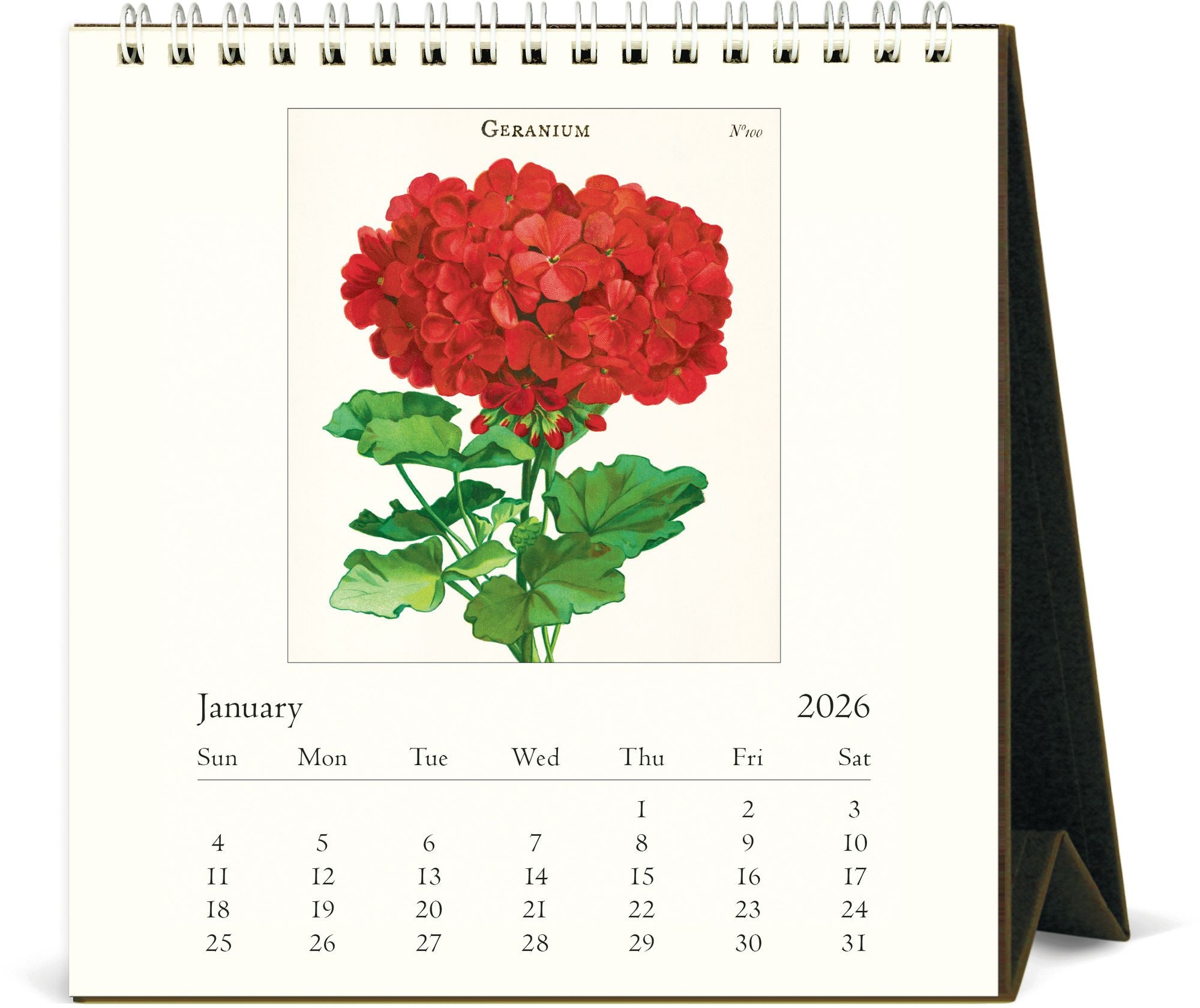 2026 Cavallini Botanica Desk Calendar - Image 2