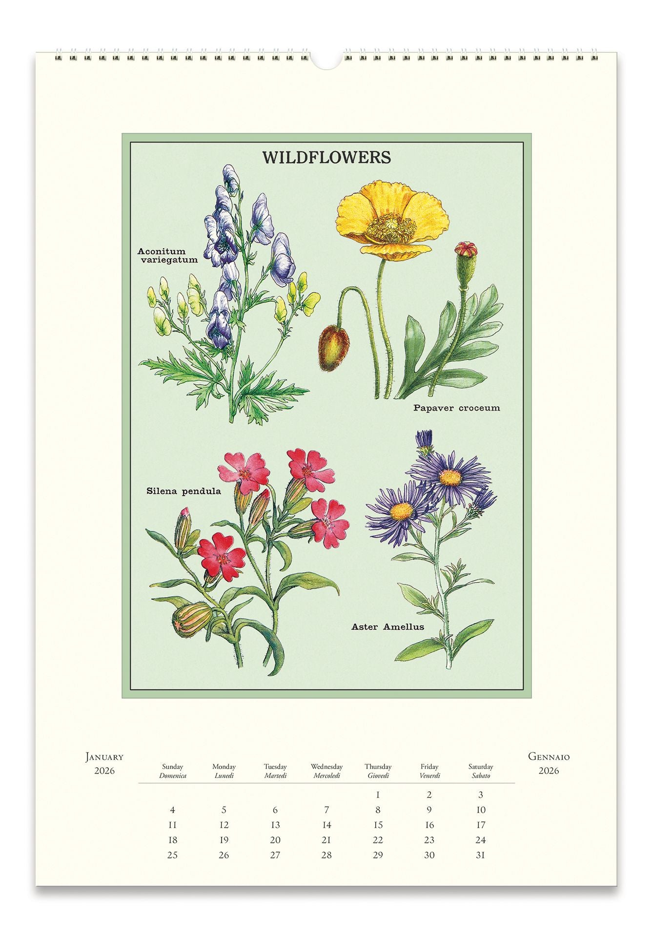 2026 Cavallini Wildflowers Wall Calendar - Image 2