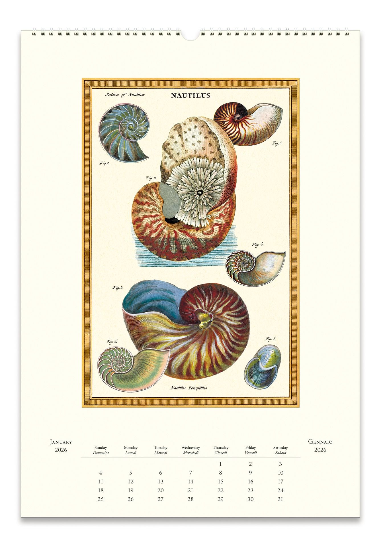 2026 Cavallini Sea Life Wall Calendar - Image 2