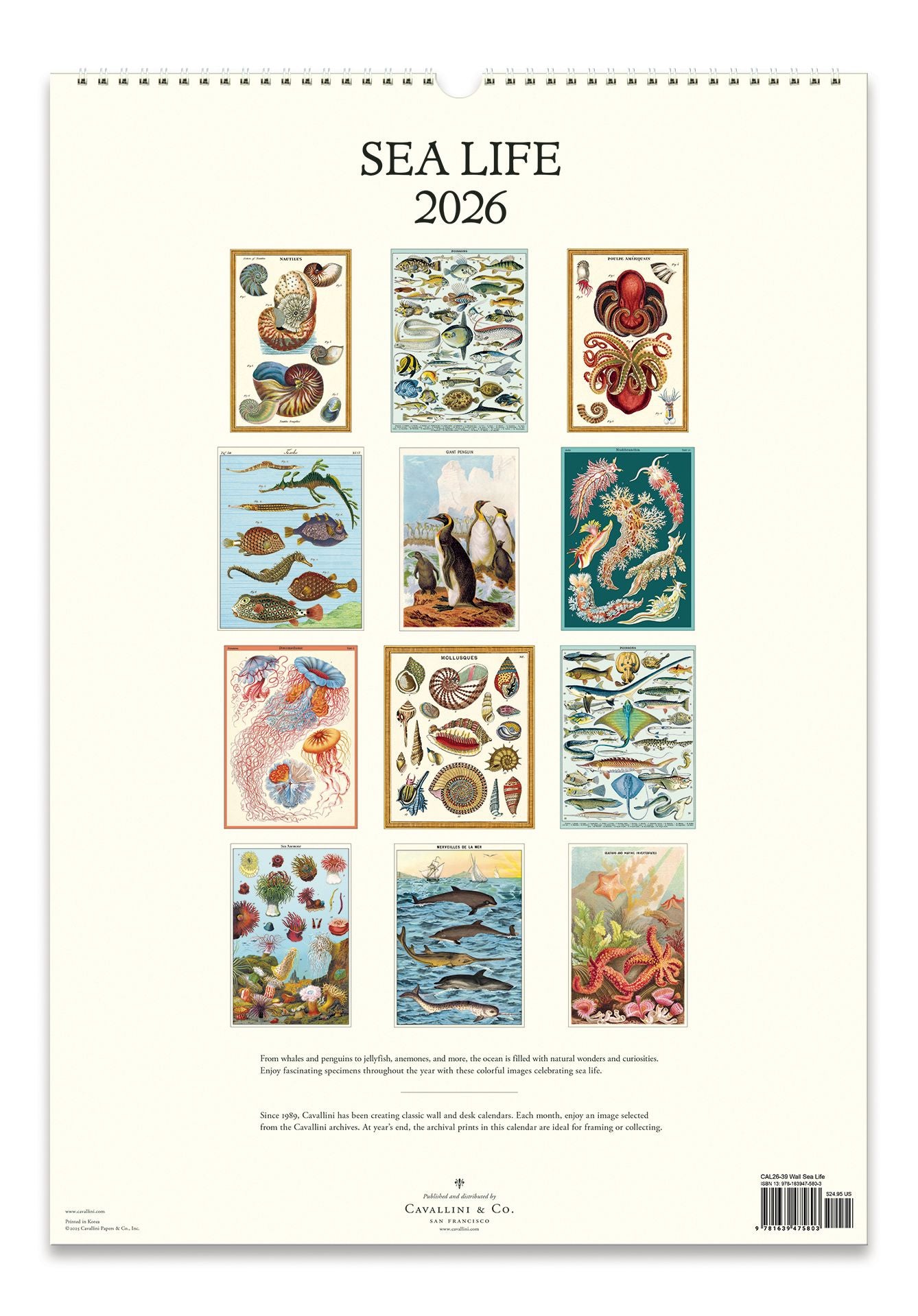2026 Cavallini Sea Life Wall Calendar - Image 3