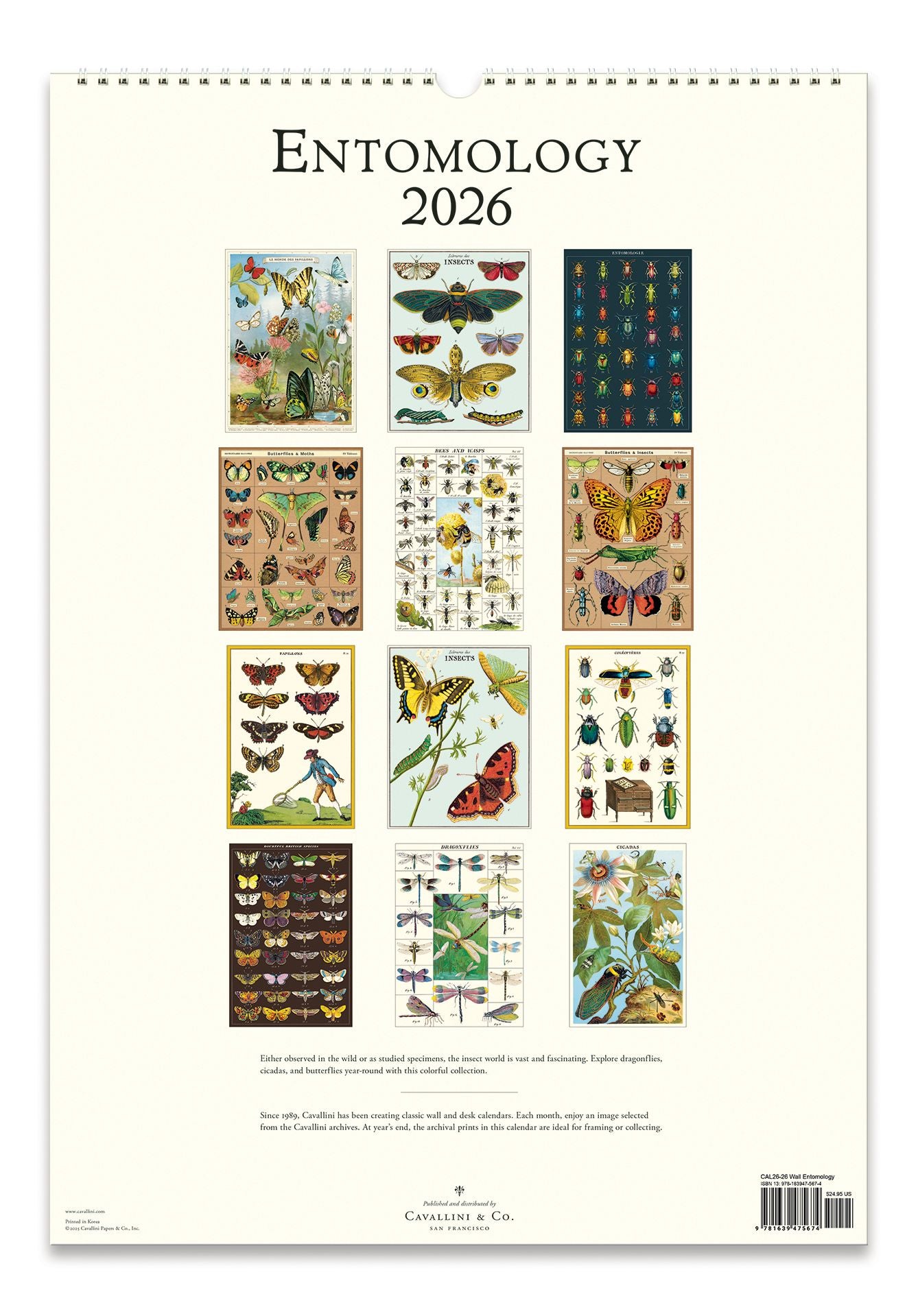 2026 Entomology Wall Calendar - Image 3