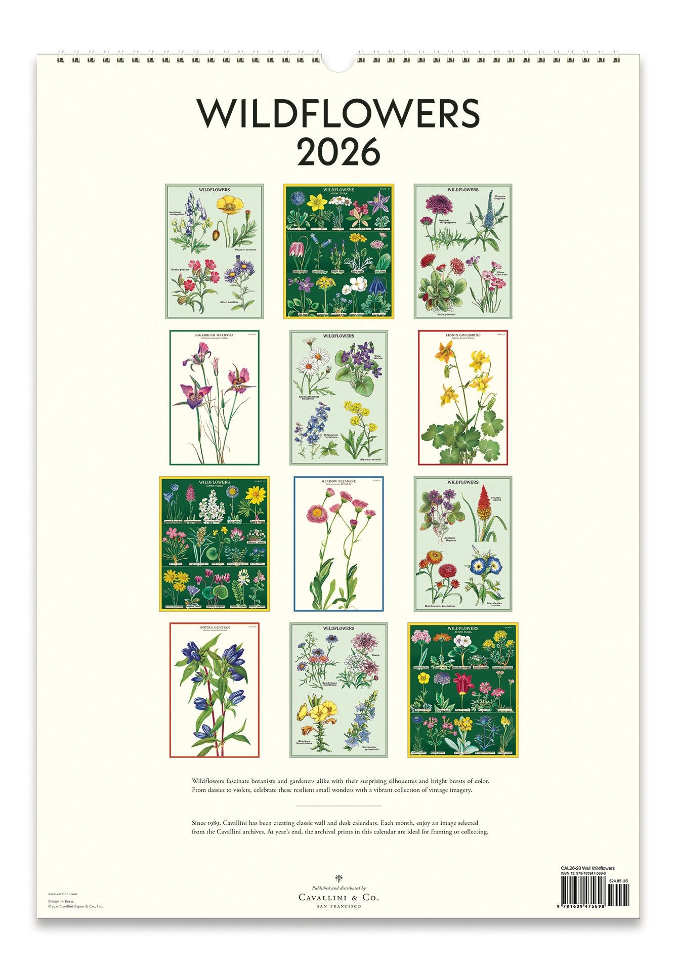 2026 Cavallini Wildflowers Wall Calendar - Image 3