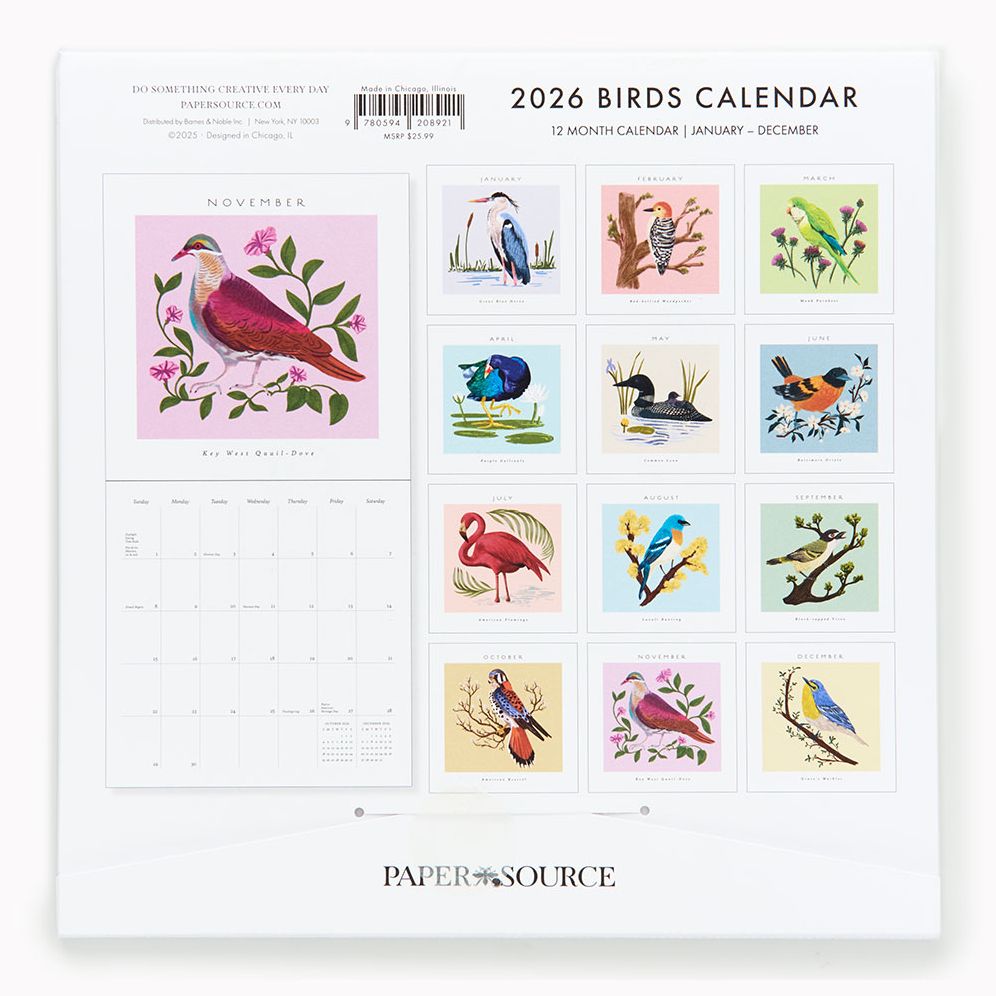 2026 Paper Source Birds Calendar - Image 3
