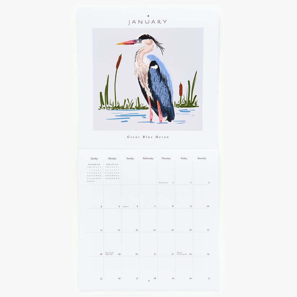 2026 Paper Source Birds Calendar - Image 2