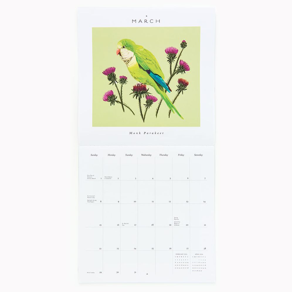2026 Paper Source Birds Calendar - Image 4