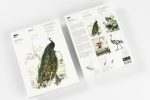 Birds A5 Notepad